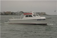 Captain Anthony Reina